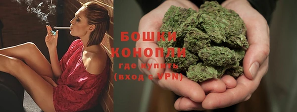 PSILOCYBIN Киренск
