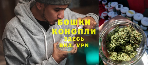 PSILOCYBIN Киренск